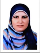 Dr/Lama Mohammed  ELAttar